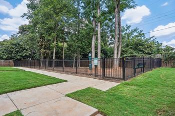 Dog park